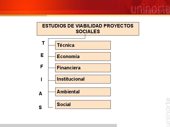 ESTUDIOS DE VIABILIDAD PROYECTOS SOCIALES T Técnica E Economía F Financiera I Institucional A