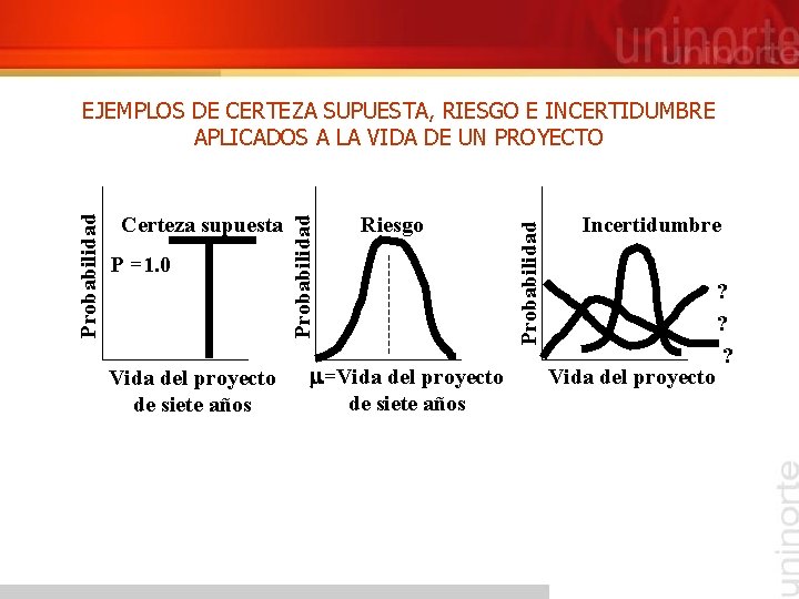 P =1. 0 Vida del proyecto de siete años Riesgo =Vida del proyecto de