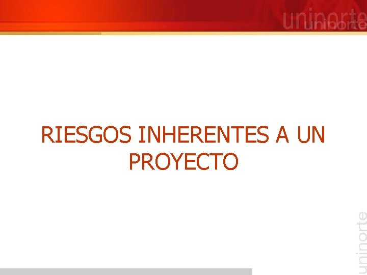 RIESGOS INHERENTES A UN PROYECTO 