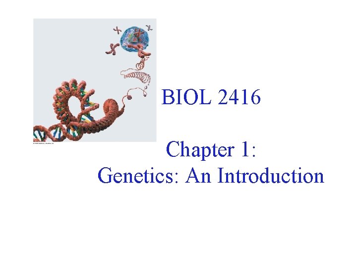 BIOL 2416 Chapter 1: Genetics: An Introduction 