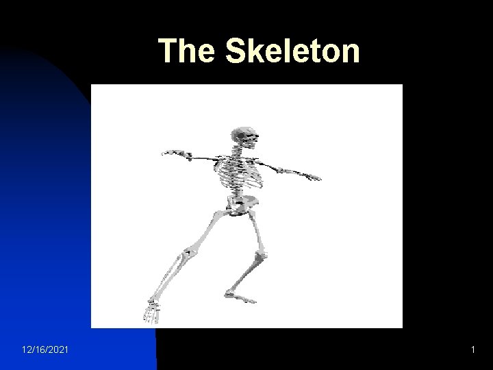 The Skeleton 12/16/2021 1 