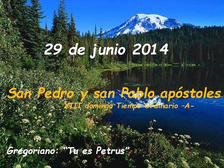 29 de junio 2014 San Pedro y san Pablo apóstoles XIII domingo Tiempo Ordinario