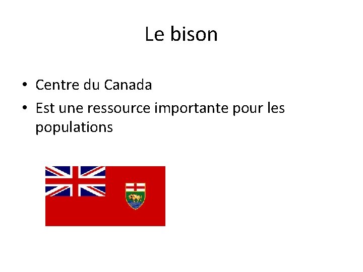 Le bison • Centre du Canada • Est une ressource importante pour les populations