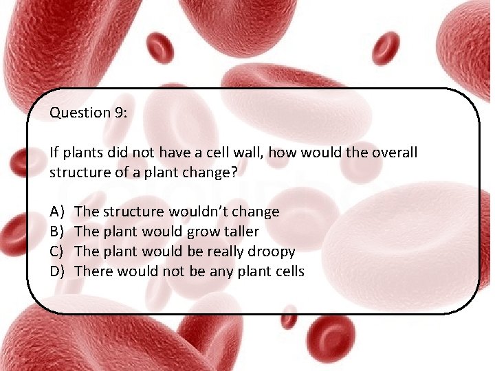 Question 9: If plants did not have a cell wall, how would the overall