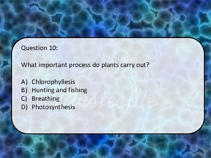 Question 10: What important process do plants carry out? A) B) C) D) Chlorophyllesis