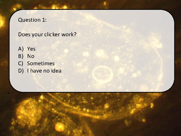 Question 1: Does your clicker work? A) B) C) D) Yes No Sometimes I