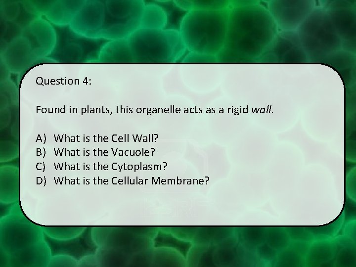 Question 4: Found in plants, this organelle acts as a rigid wall. A) B)