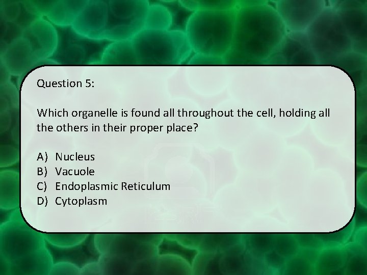 Question 5: Which organelle is found all throughout the cell, holding all the others