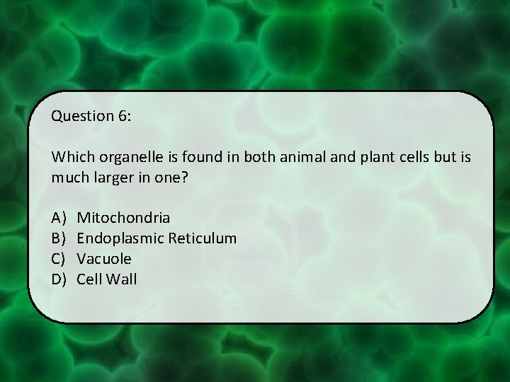 Question 6: Which organelle is found in both animal and plant cells but is