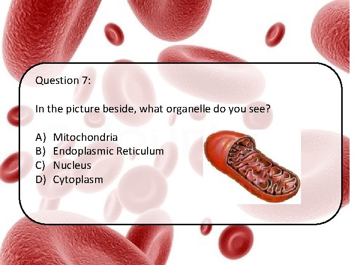 Question 7: In the picture beside, what organelle do you see? A) B) C)