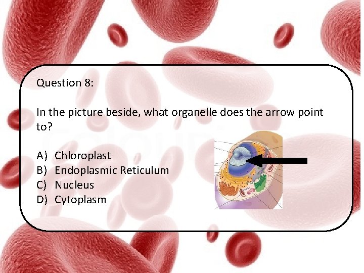 Question 8: In the picture beside, what organelle does the arrow point to? A)