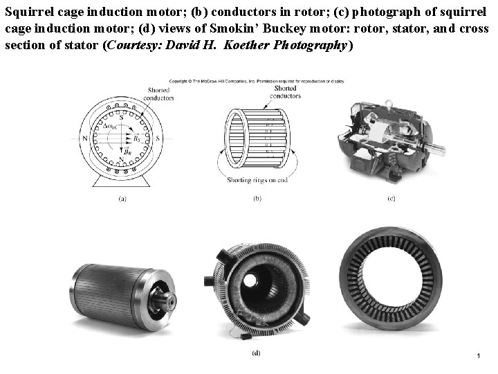 Squirrel cage induction motor; (b) conductors in rotor; (c) photograph of squirrel cage induction