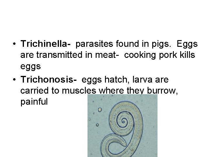  • Trichinella- parasites found in pigs. Eggs are transmitted in meat- cooking pork