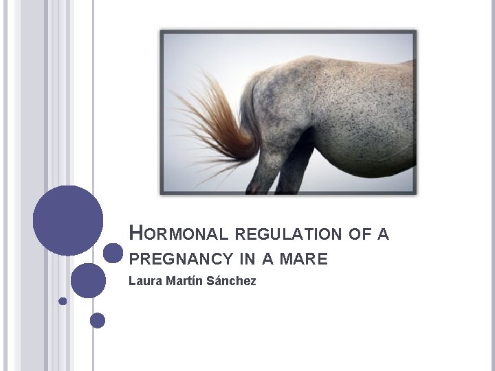 HORMONAL REGULATION OF A PREGNANCY IN A MARE Laura Martín Sánchez 
