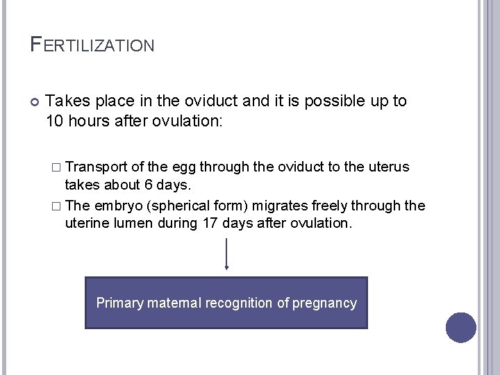 FERTILIZATION Takes place in the oviduct and it is possible up to 10 hours