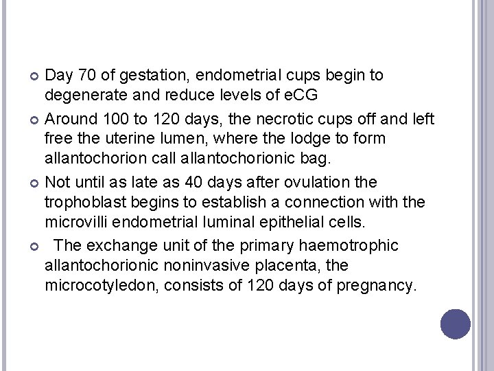 Day 70 of gestation, endometrial cups begin to degenerate and reduce levels of e.