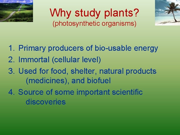 Why study plants? (photosynthetic organisms) 1. Primary producers of bio-usable energy 2. Immortal (cellular
