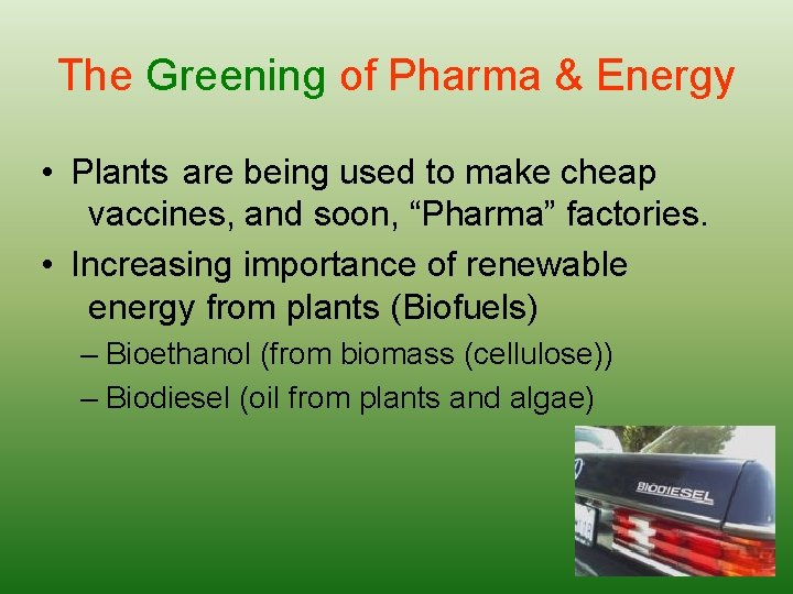The Greening of Pharma & Energy • Plants are being used to make cheap