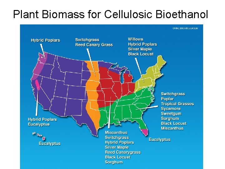 Plant Biomass for Cellulosic Bioethanol 