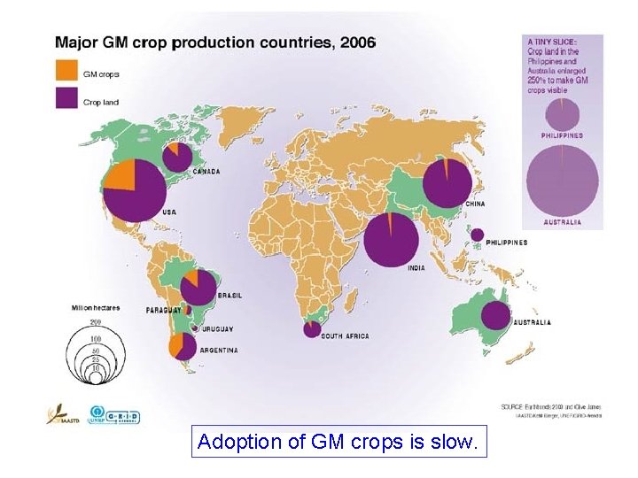 Adoption of GM crops is slow. 