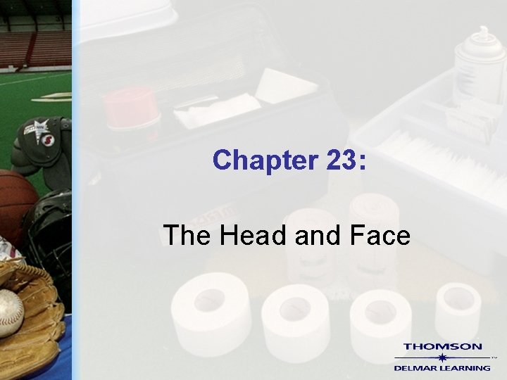 Chapter 23: The Head and Face 