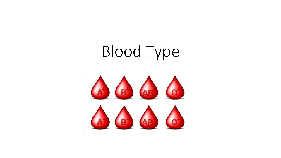 Blood Type 