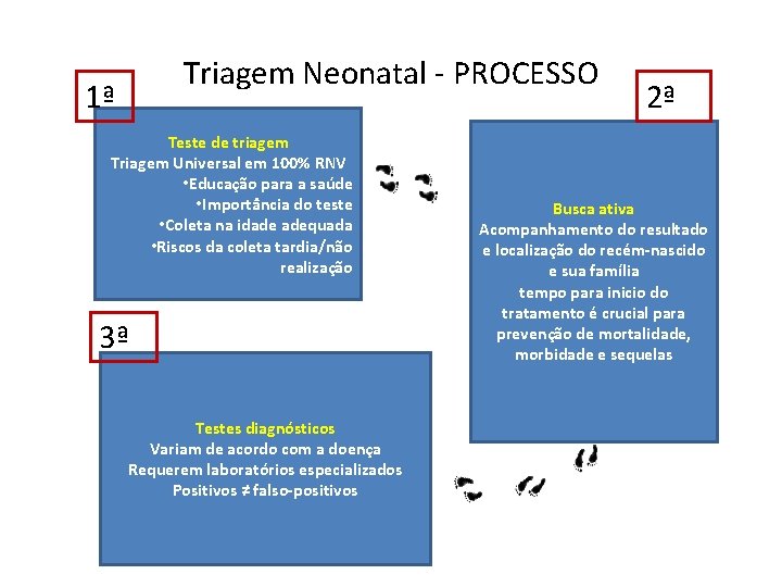 Triagem Neonatal - PROCESSO 1ª Teste de triagem Triagem Universal em 100% RNV •