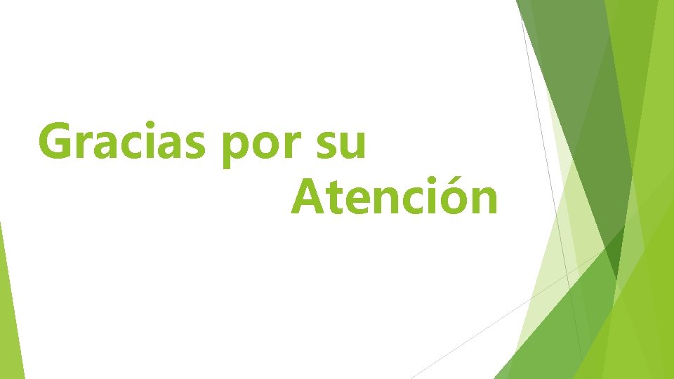 Gracias por su Atención 