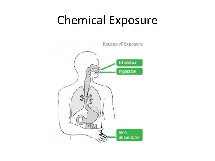 Chemical Exposure 