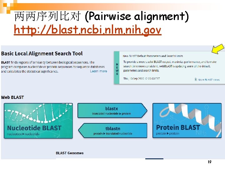 两两序列比对 (Pairwise alignment) http: //blast. ncbi. nlm. nih. gov 19 