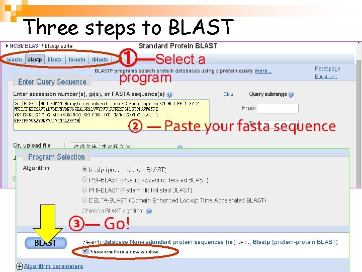 Three steps to BLAST ①—Select a program ② — Paste your fasta sequence ③—