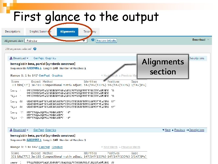 First glance to the output Alignments section 