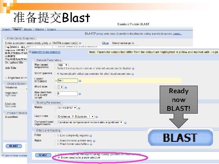 准备提交Blast Ready now BLAST! 生物信息学 35 