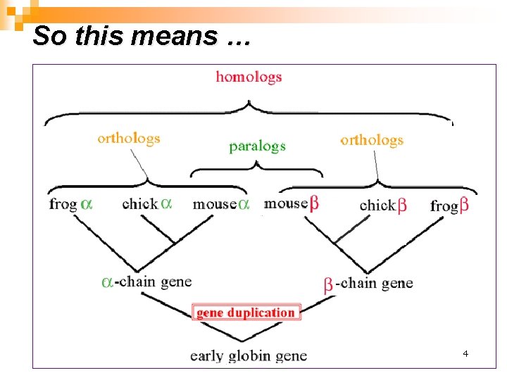 So this means … 4 生物信息学 4 