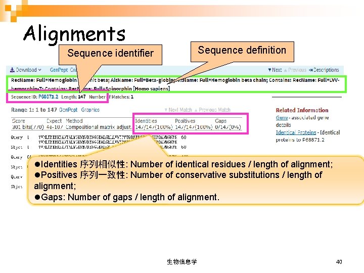 Alignments Sequence definition Sequence identifier l. Identities 序列相似性: Number of identical residues / length