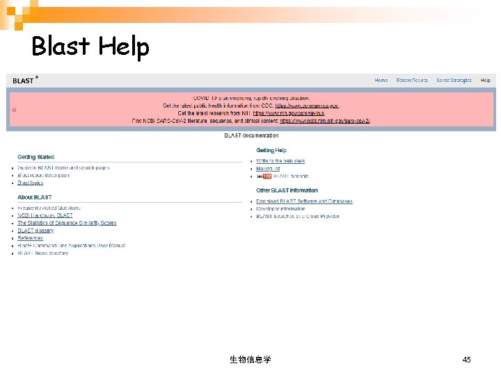 Blast Help 生物信息学 45 