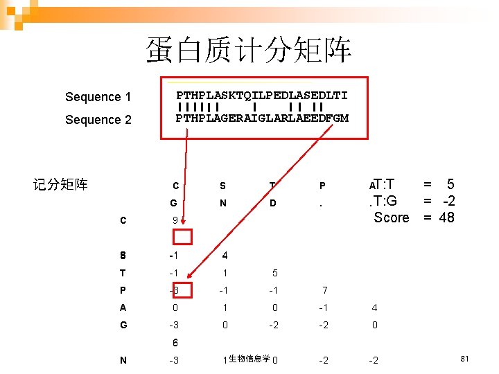 蛋白质计分矩阵 Sequence 1 PTHPLASKTQILPEDLASEDLTI Sequence 2 PTHPLAGERAIGLARLAEEDFGM 记分矩阵 C S T P G N