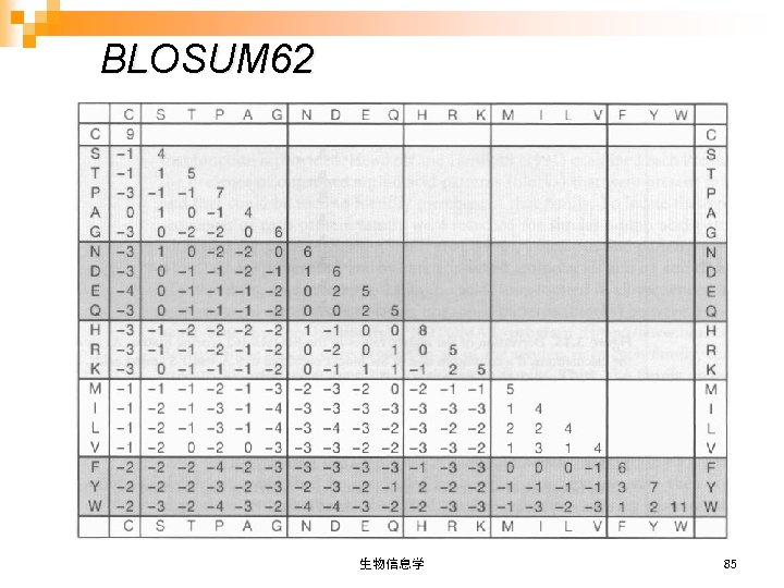 BLOSUM 62 生物信息学 85 
