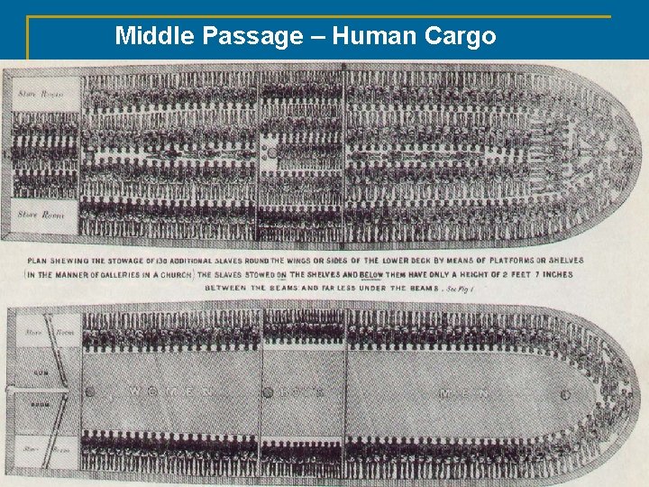 Middle Passage – Human Cargo © 2011, The Mc. Graw-Hill Companies, Inc. All Rights