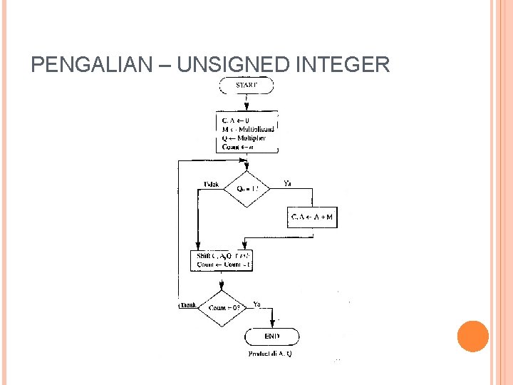 PENGALIAN – UNSIGNED INTEGER 12 