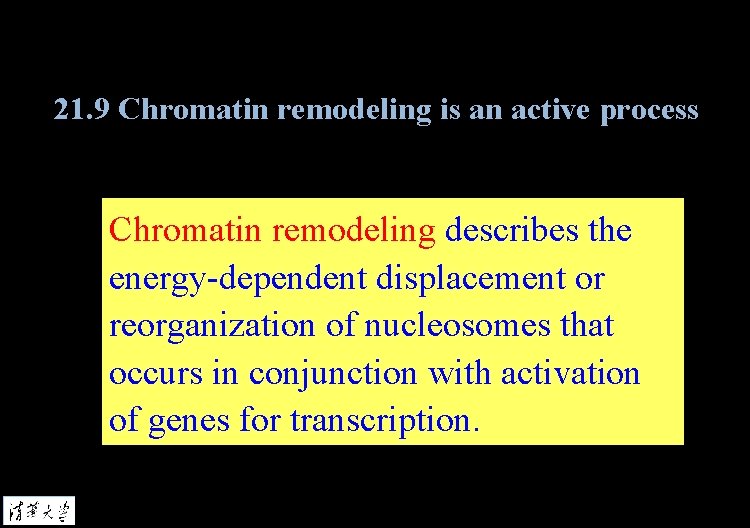 21. 9 Chromatin remodeling is an active process Chromatin remodeling describes the energy-dependent displacement