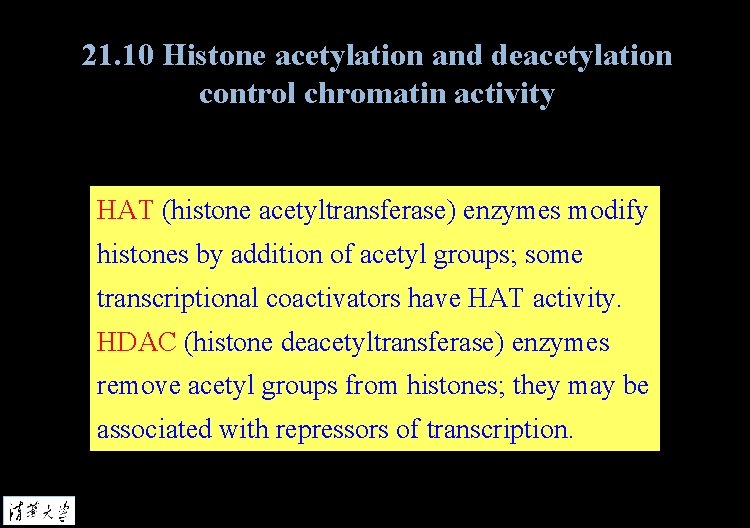 21. 10 Histone acetylation and deacetylation control chromatin activity HAT (histone acetyltransferase) enzymes modify