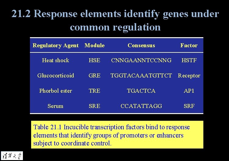 21. 2 Response elements identify genes under common regulation Regulatory Agent Module Consensus Factor
