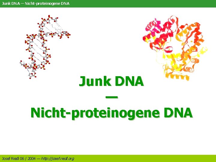Junk DNA — Nicht-proteinogene DNA Josef Riedl 06 / 2004 — http: //josef. riedl.