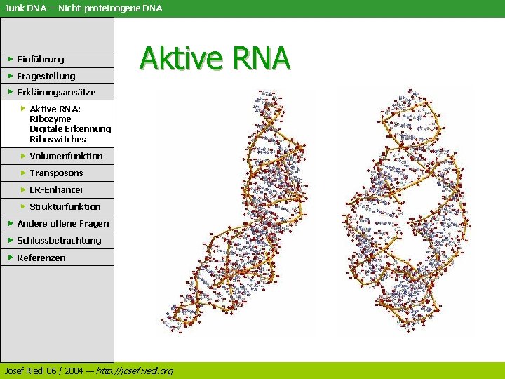 Junk DNA — Nicht-proteinogene DNA Einführung Fragestellung Aktive RNA Erklärungsansätze Aktive RNA: Ribozyme Digitale