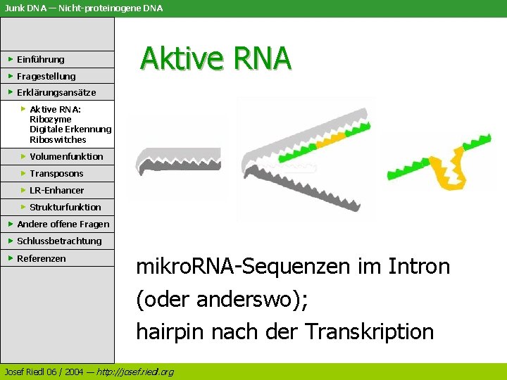 Junk DNA — Nicht-proteinogene DNA Einführung Fragestellung Aktive RNA Erklärungsansätze Aktive RNA: Ribozyme Digitale