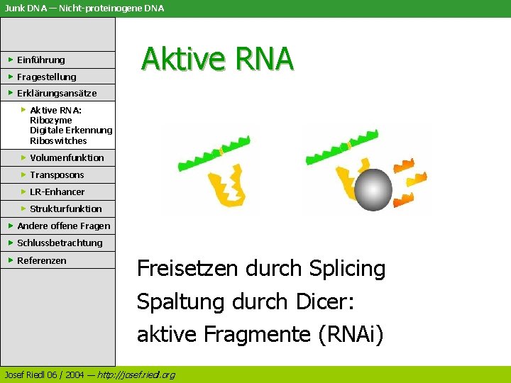 Junk DNA — Nicht-proteinogene DNA Einführung Fragestellung Aktive RNA Erklärungsansätze Aktive RNA: Ribozyme Digitale