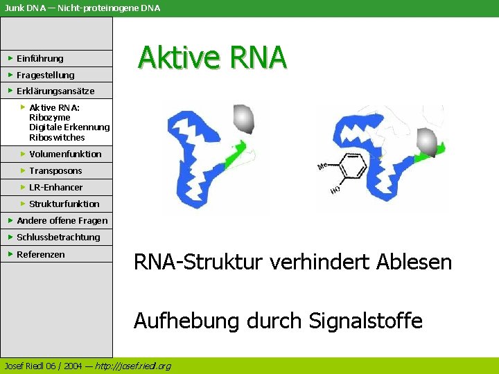 Junk DNA — Nicht-proteinogene DNA Einführung Fragestellung Aktive RNA Erklärungsansätze Aktive RNA: Ribozyme Digitale