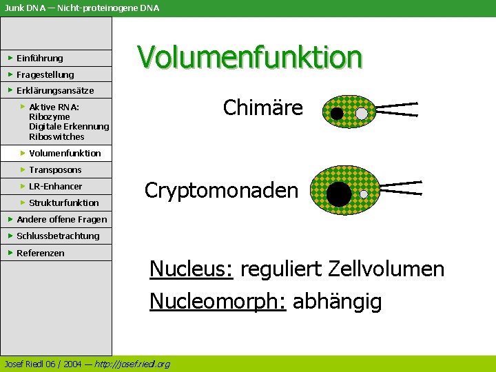 Junk DNA — Nicht-proteinogene DNA Einführung Fragestellung Volumenfunktion Erklärungsansätze Chimäre Aktive RNA: Ribozyme Digitale