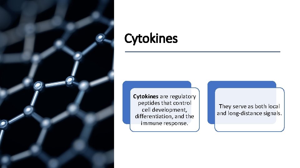 Cytokines are regulatory peptides that control cell development, differentiation, and the immune response. They